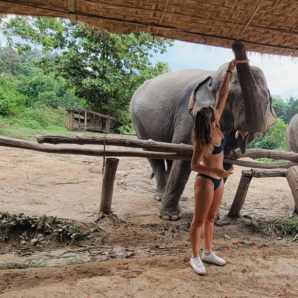 Meet your Posher, Alexandria - Picture 1 of 1